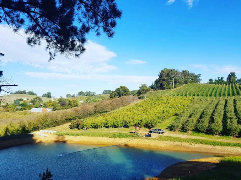 Water Transfer Pumps Aldgate Pump Sales and Service